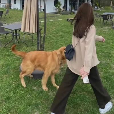 连环恋爱 封面